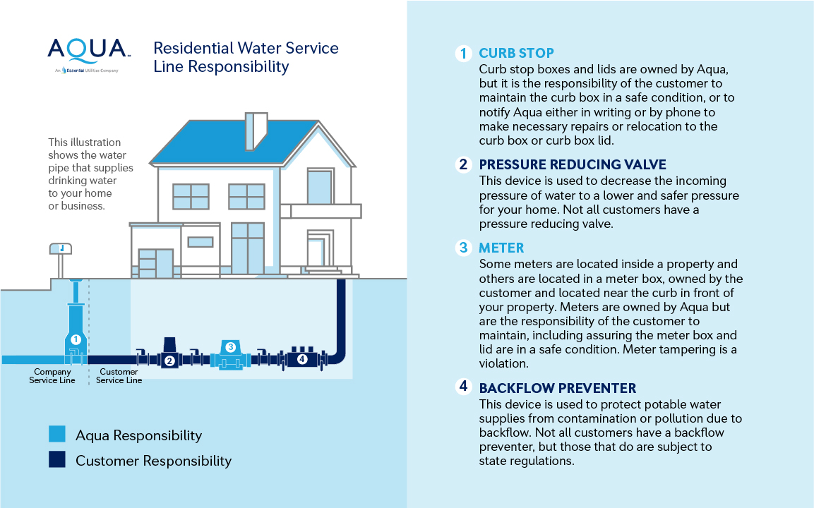 water infographic