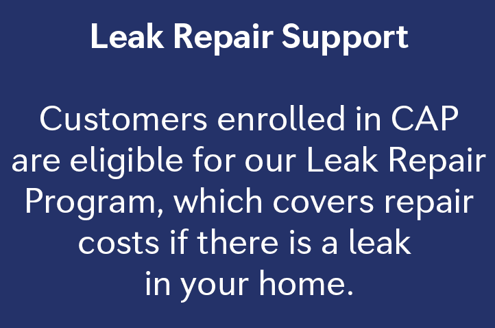 leak repair